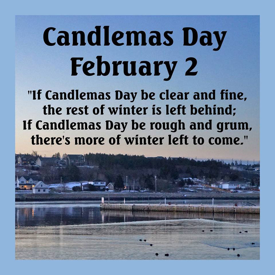 CANDLEMAS DAY McCarthy's Party