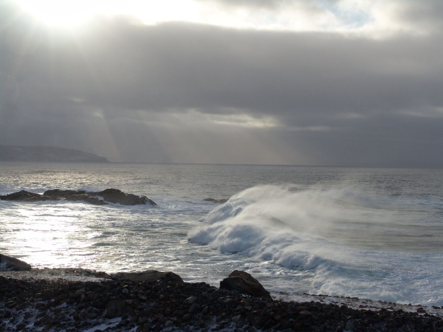 McCarthy's Party – Escorted And Guided Tours Of Newfoundland And ...